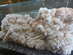 -湖南省地质博物馆