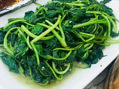 -鲤鱼塘农家山庄