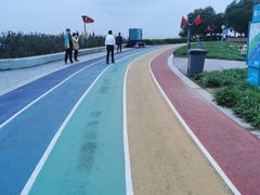 -贡湖湾湿地公园