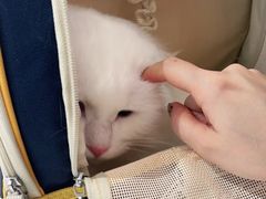 -FAELING PETS美天灵宠物(富力广场店)