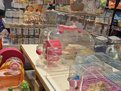 -BABIT巴比特宠物(MOMOPARK店)