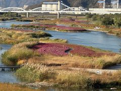 -永定河休闲森林公园