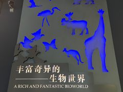 -浙江自然博物院(杭州馆)