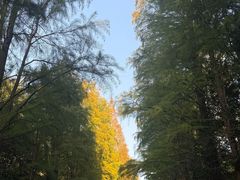 -狼山风景名胜区