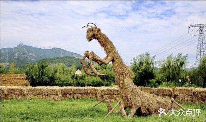 六一就和娃相约绿野仙踪郊野乐园吧