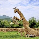 六一就和娃相约绿野仙踪郊野乐园吧