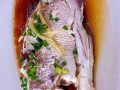 清蒸腊鱼-绢姐海鲜大排档