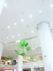 点击看大图 -上海市儿童医院(泸定路院区)