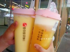 -悸动烧仙草(包河宁国路店)