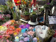 -苏州市皮市街花鸟工艺品市场