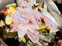 -石锅苗苗鱼(武汉首店)