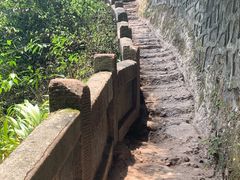 -青城山