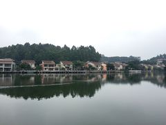 -明珠海港大酒店