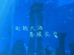 -南昌融创海世界