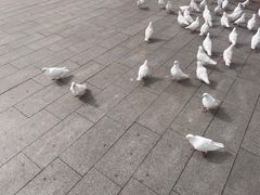 -山海广场