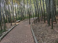 -青龙山国家森林公园