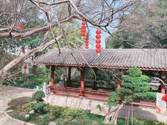 -乌山风景区