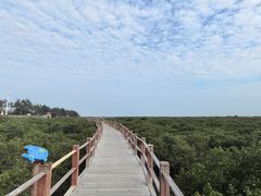 -北海金海湾红树林生态旅游区