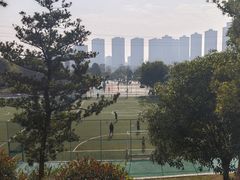 -东岳体育公园