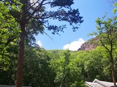 -北京上方山国家森林公园