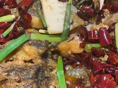 -老板恋上鱼(恒隆广场店)