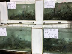 -海盗餐厅