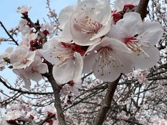 -青龙湖公园