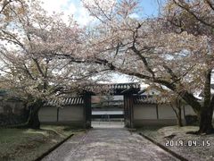 -醍醐寺
