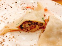 蘑菇饺子-Lozhki-ploshki