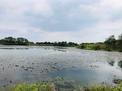 -梁鸿国家湿地公园