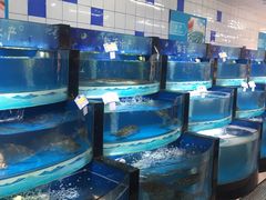 -天润发屯溪元一店(元一大观上河城店)