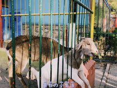 -荆州中山公园动物园