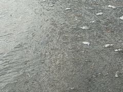 -哈素海