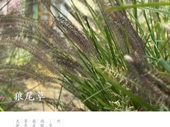-北科婴幼学苑