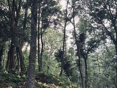 -洛阳白云山景区