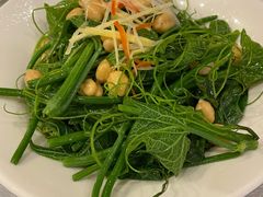 -巴依老爷新疆美食(工体旗舰店)