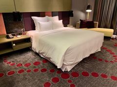 -南京禄口机场雅高铂尔曼大酒店