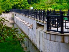 -九龙潭景区