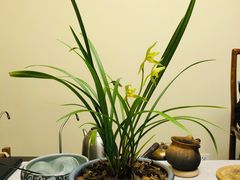 -养心斋涵信茶艺茶道培训