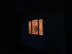 -红花尔基樟子松国家森林公园