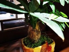 -眉州东坡(中日友好医院店)