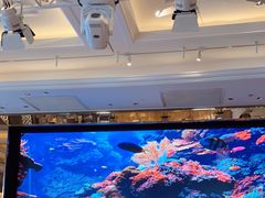 -金苑海鲜酒家(来魅力店)