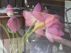 -Onirii Coffee(长乐路店)