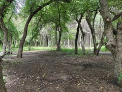 -长春市南湖公园