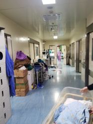 -复旦大学附属妇产科医院(杨浦院区)