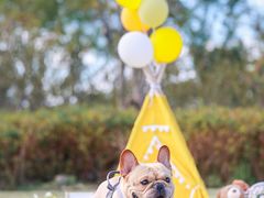 -春花秋色城市公园