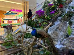 -赛格国际购物中心(小寨店)