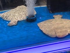 -盒马鲜生(西城时代店)