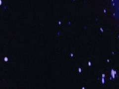 -SPACE(欢乐颂购物中心店)