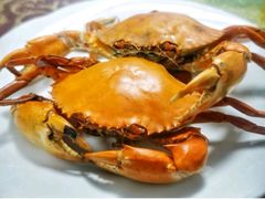-杨记海鲜楼(三门黑金冠店)